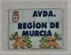 CALLE AVENIDA DE LA REGION DE MURCIA