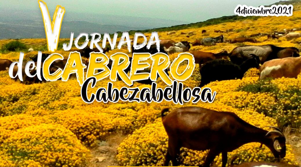 FIESTAS, GASTRONOMÍA, PROVINCIA DE CÁCERES :APRENDE A HACER QUESO EN LA JORNADA DEL CABRERO EN CABEZABELLOSA