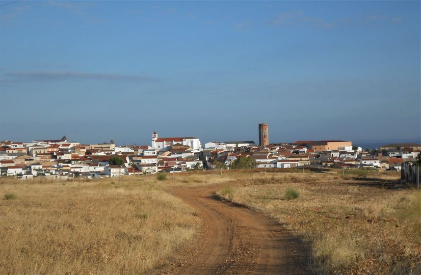 SIN COMETER EXCESOS QUE AFECTEN A LOS CONCURRENTES. ORDENANZA MUNICIPAL DE LOBÓN, AÑO 1876.