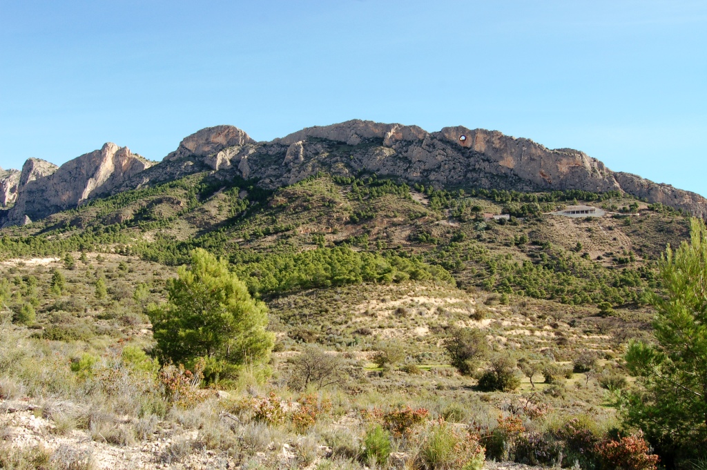 LES COVES DE CANELOBRE (BUSOT, ALICANTE) VISTAS POR FRANCISCO DE PAULA MELLADO