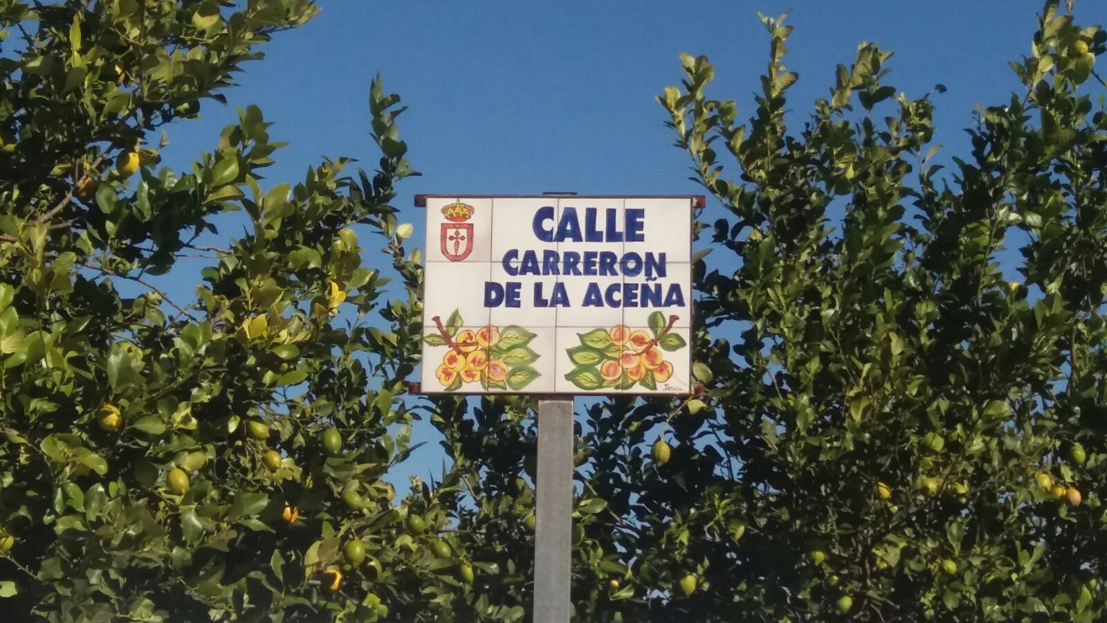 HISTORIOGRAFÍA DE LAS CALLES DE ULEA: CL CARRERÓN DE LA ACEÑA