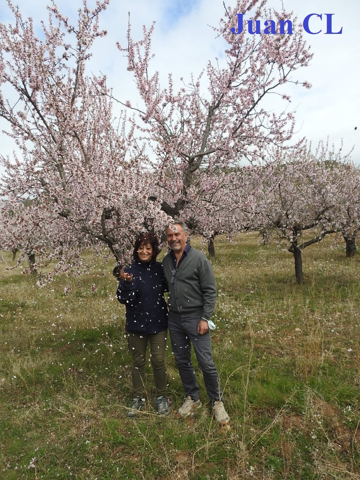 SALUDO FUENTEPIÑELANO-BOLEANO 2997 – FLORACIÓN DE LOS ALMENDROS