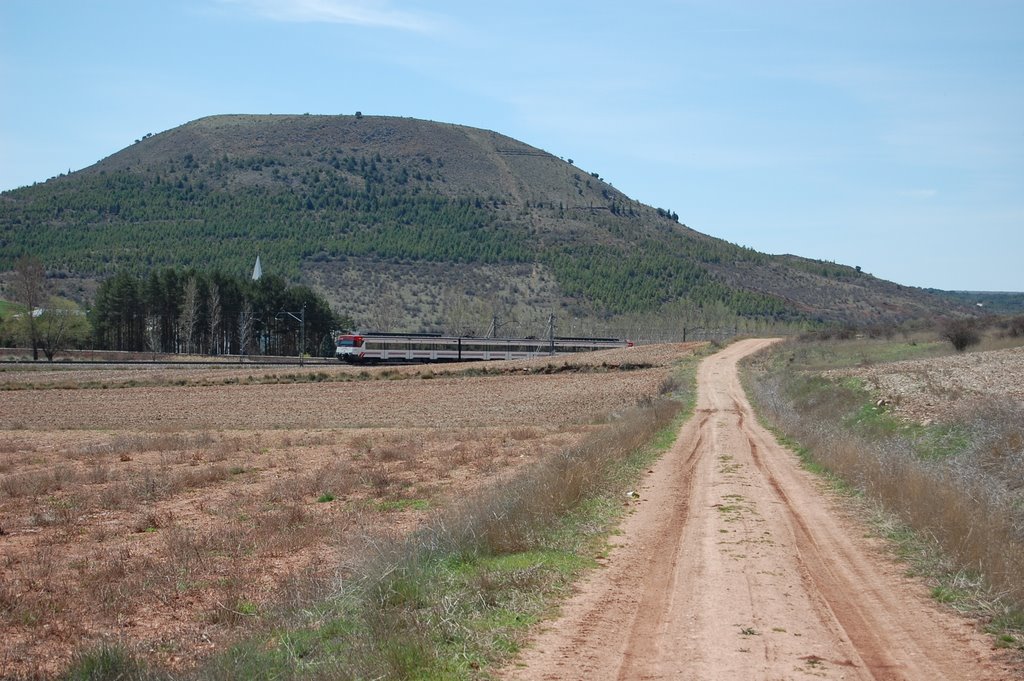 EL YACIMIENTO DEL CERRO DE OTERO. UN YACIMIENTO DE LA EDAD DEL BRONCE MEDIO EN LA ALCARRIA DE CUENCA