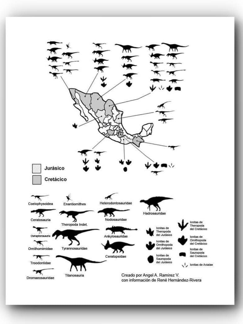 CRÓNICA DE ZACATECAS – ¿POR QUÉ NO HAY DINOSAURIOS EN ZACATECAS?