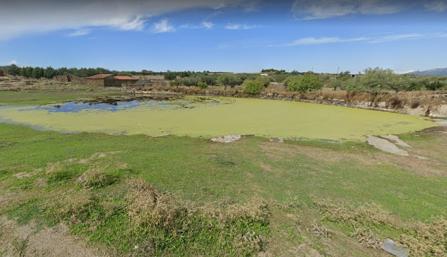 SUBASTA DE LAS LAGUNAS PARA PESCA DE TENCAS