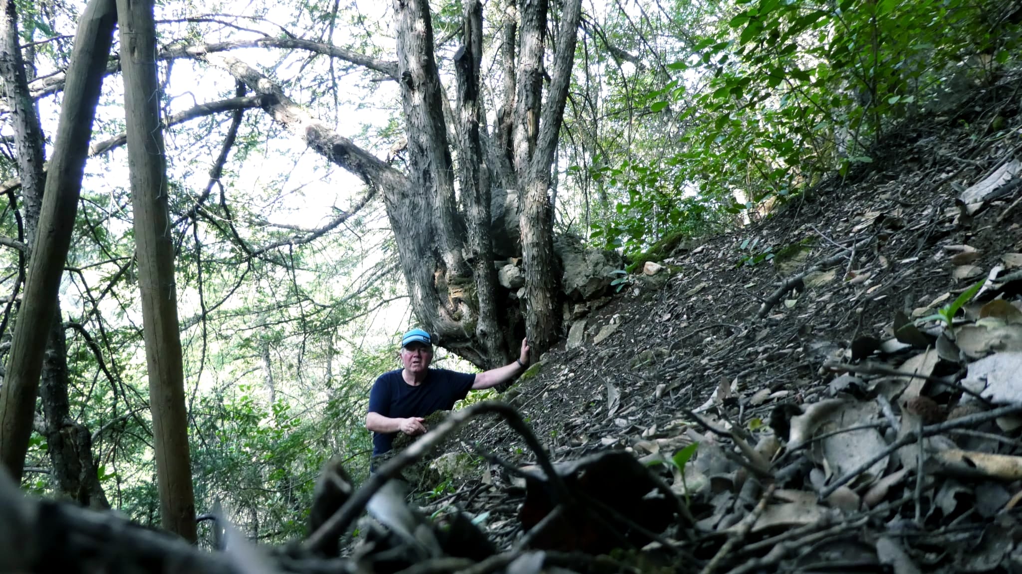 TEJEDA DEL BARRANCO DE LOS TEJOS