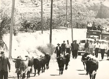 EL ENCIERRO DE BLANCA