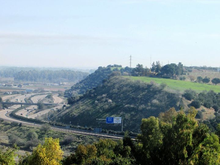 FESTIVIDAD DE SANTA BRÍGIDA.