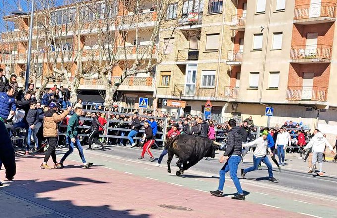 ARÉVALO TAMBIÉN QUIERE TOROS EN INVIERNO