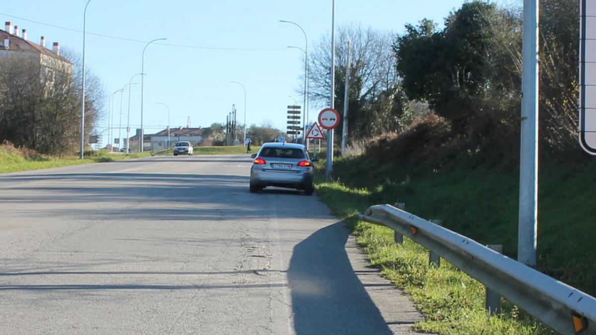 UN CORZO EN LA AVENIDA XOSÉ CUÍÑA DE LALÍN