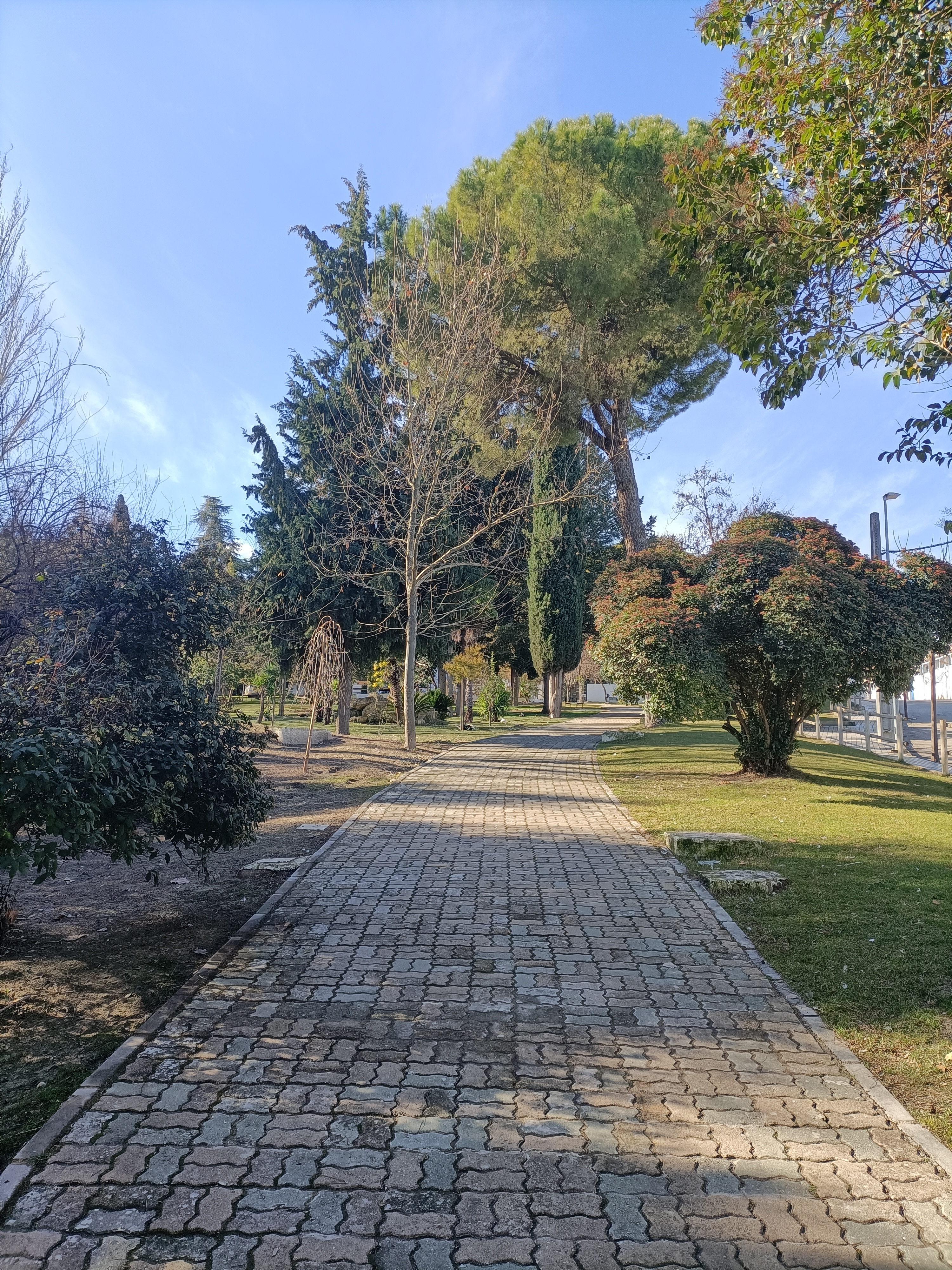 REFORMAS EN EL PARQUE MUNICIPAL DE SAN BLAS-AÑOS 60- EN VILLANUEVA DEL ARZOBISPO (JAÉN) (III)