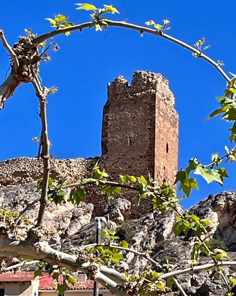 PATRIMONIO MONUMENTAL EN BERDEJO (ZARAGOZA)