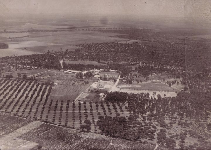 INAUGURACIÓN DE LA COLONIA VITÍCOLA DE CAMPANO