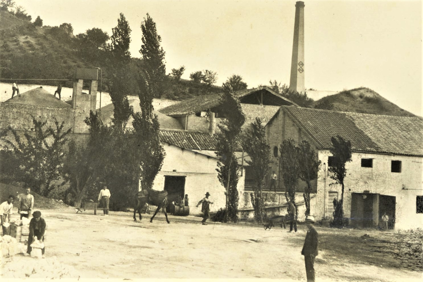 CONSTITUCIÓN DE LA JUNTA LOCAL DE FOMENTO PECUARIO EN 1939. RECOLECCIÓN DE ACEITUNA (VI)