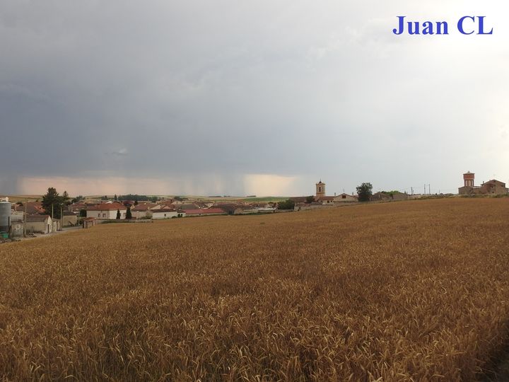 SALUDO FUENTEPIÑELANO 3551- «LA LLUVIA POR SAN JUAN, NO QUITA VINO Y NO DA PAN»