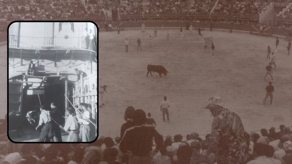 MEDINA DEL CAMPO DIBUJA SUS TRADICIONES CON PAISAJES DE CAPEAS