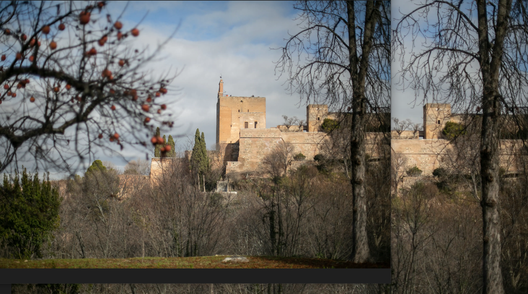 VIVIR Y MORIR EN EL CARMEN DE “LOS CATALANES”