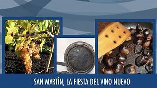 PUBLICAN LOS ORÍGENES DE LAS TRADICIONES DE ‘SAN MARTÍN Y EL VINO NUEVO’