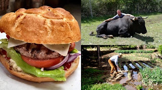 ¿UNA HAMBURGUESA SIN AGRICULTORES NI GANADEROS?