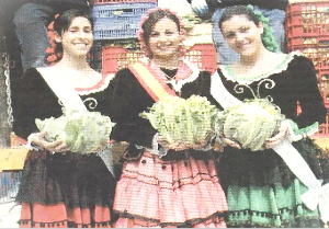 SE CELEBRARÁ EL 42 ANIVERSARIO DE «LA FIESTA DE LA COLIFLOR “DE GRIÑÓN