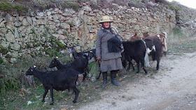 LAS CABRAS DE TÍA JUANA