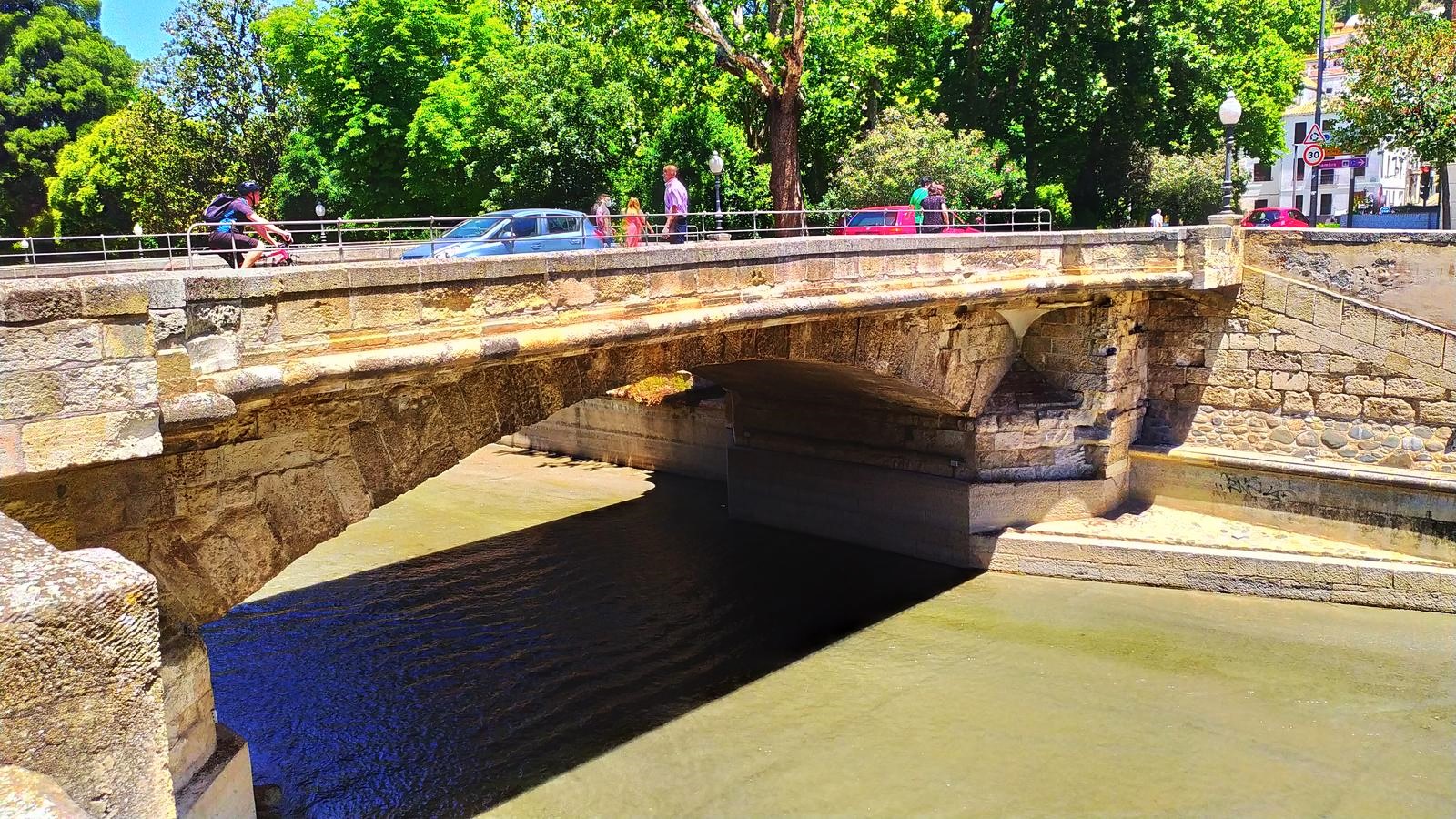 EL PUENTE VERDE