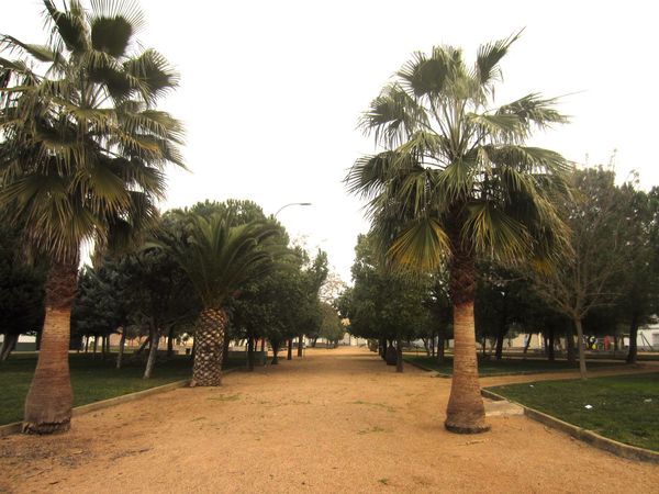 UN PULMÓN LLENO DE HISTORIA BOTÁNICA