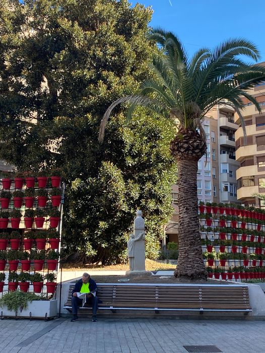 DON RICARDO, CASTIGADO DE CARA AL FICUS