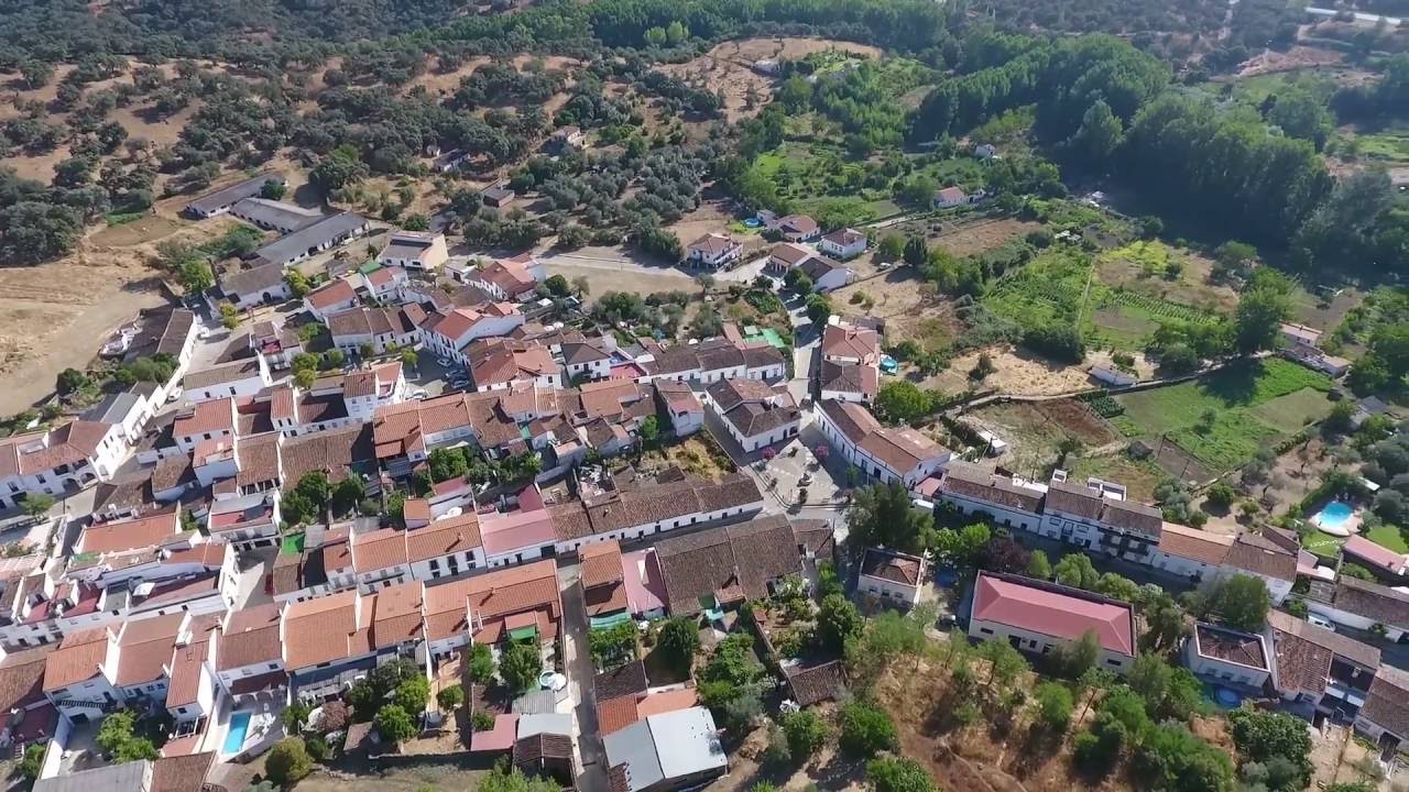 ESTAMPAS NAVETAS. UNA FIESTA PARA CADA DOMINGO.