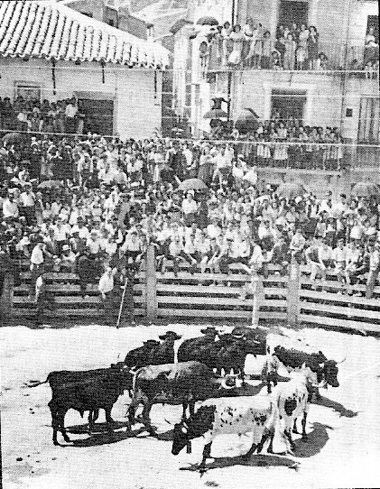 TAL DÍA COMO HOY EN 1891. ENCIERRO DE VACAS