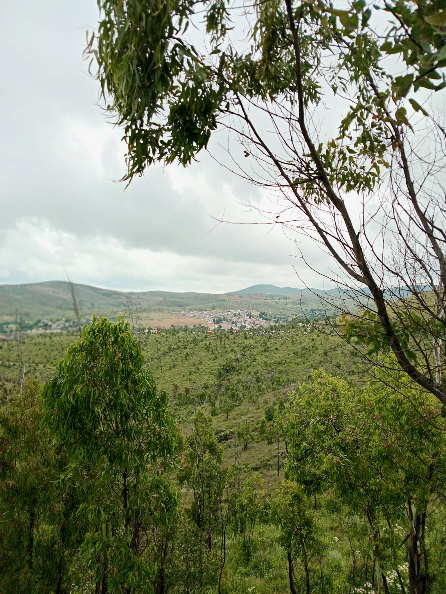 CRÓNICA DE ZACATECAS: CERRO SAN MARTÍN