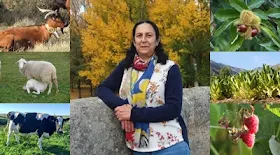 A UNA MUJER DE CAMPO. HOMENAJE A VICENTA GARCÍA DE LA CALLE