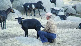 LOS CABREROS: LA VIDA EN LA SIERRA.