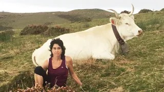 LEIRE AMUNDARAIN GANADUTEGIA: ENTRE VACAS PIRENAICAS Y CABRAS AZPIGORRI.