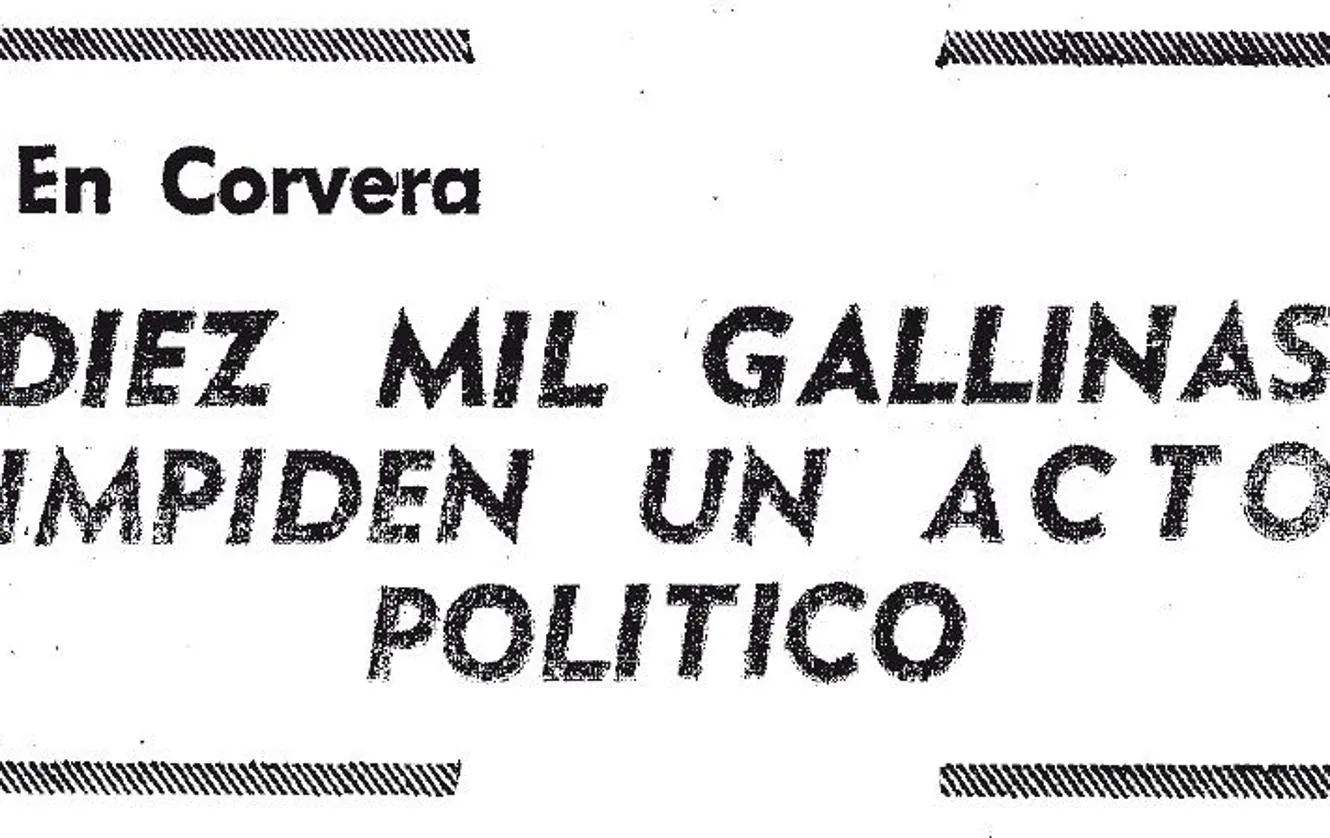 LA HISTORIA DE CÓMO DIEZ MIL GALLINAS IMPIDIERON UN ACTO POLÍTICO EN MURCIA