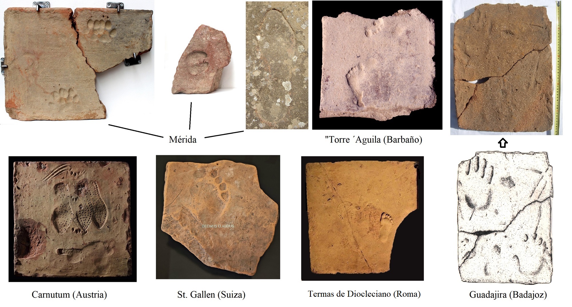 IMPRONTAS HUMANAS Y ANIMALES SOBRE LADRILLOS Y TEGULAS DE CERÁMICA.