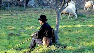 LOS PASTORES DE BELÉN Y LOS PASTORES DE HOY