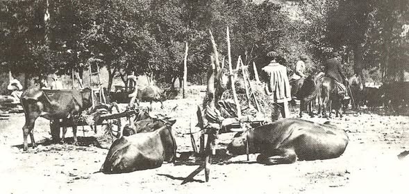 SOBRE EL SANEAMIENTO Y AGUA DE ARRIONDAS (1915-1936)